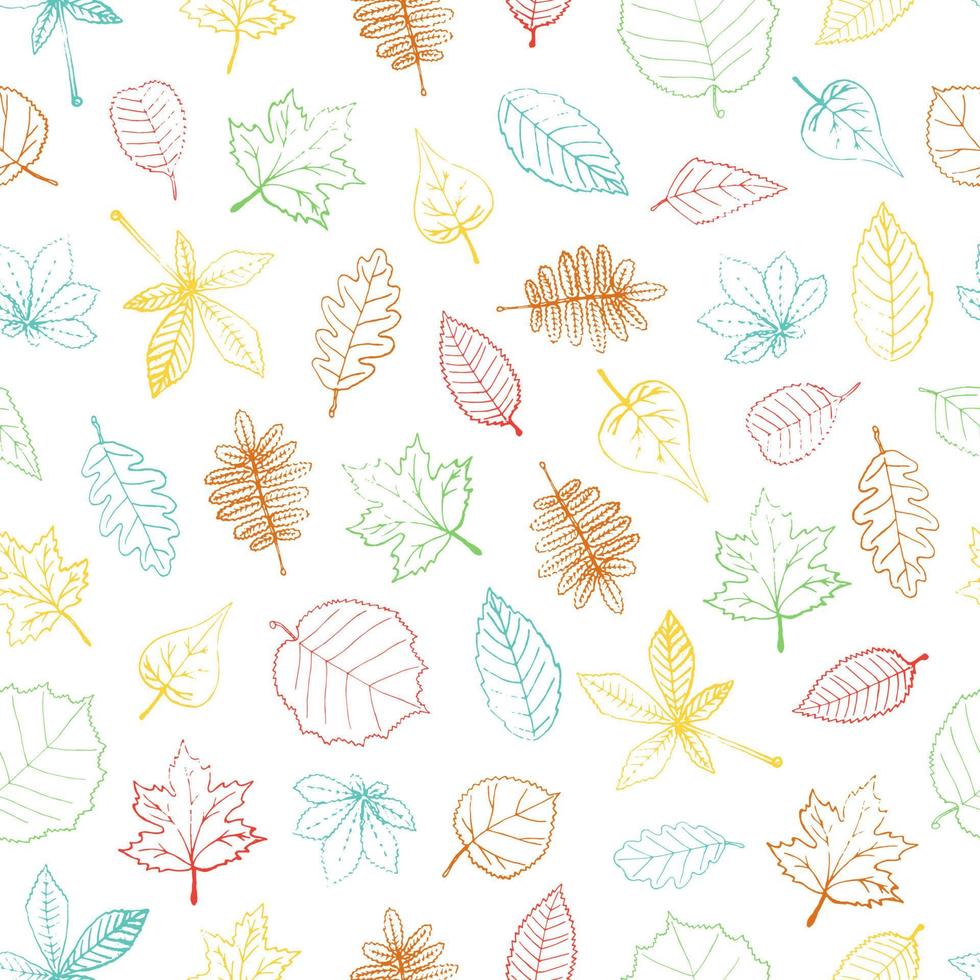 vector naadloze patroon van gekleurde hand getrokken getextureerde blad. herfst herhaal achtergrond met geïsoleerde kleurrijke berk, esdoorn, eik, lijsterbes, kastanje, hazelaar, linde, els, esp, iep, populierbladeren