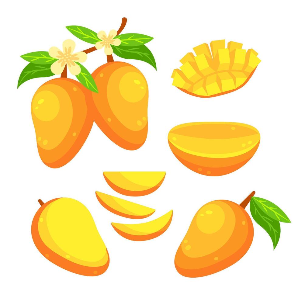 mango set, vers exotisch fruit. geheel en stukken. mango plak vector