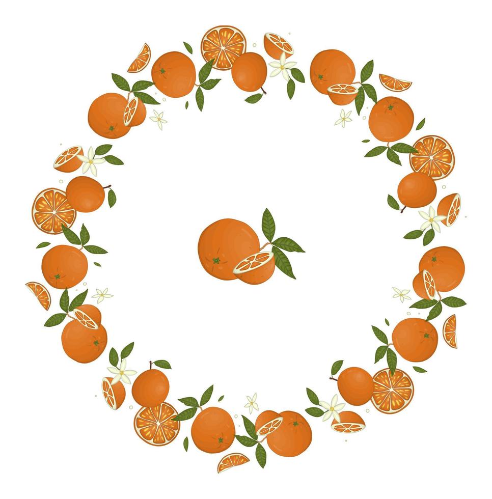 vector krans van sinaasappelen. hand getekend cartoon stijl illustratie. schattig frame met citrusvruchten, bladeren, bloemen, twijgen. vers voedselillustratie voor natuurlijk biologisch voedsel of kaartontwerp