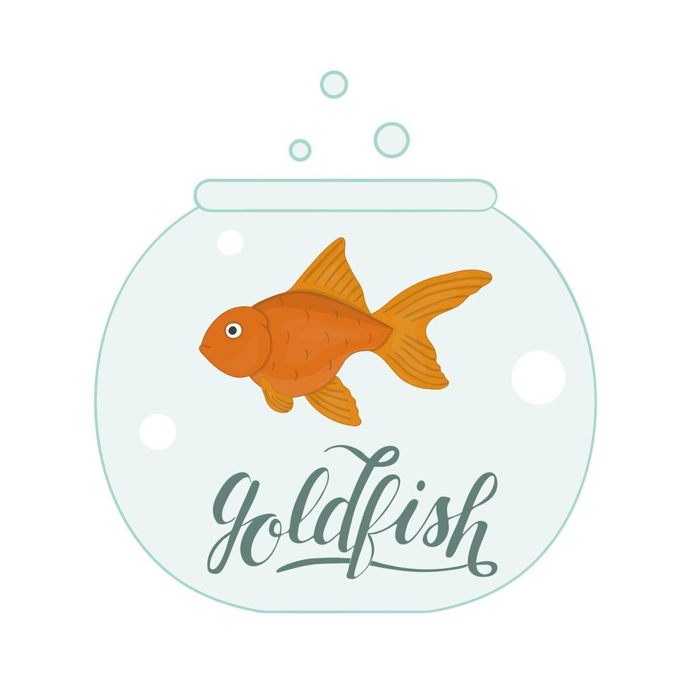 vector gekleurde illustratie van vis in aquarium met vis naam belettering. schattige foto van goudvis voor dierenwinkels of kinderillustratie