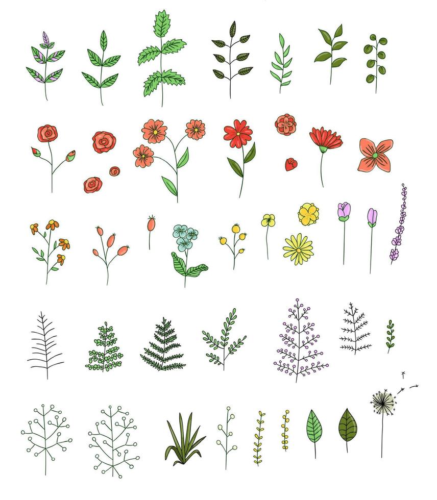 vector set gekleurde bloemen, kruiden, planten. helder en vrolijk pakket elementen voor natuurlijk design. cartoon stijl