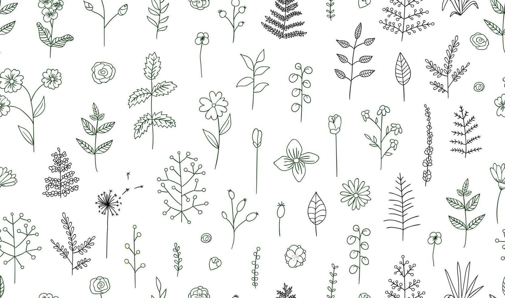 vector naadloze patroon van zwarte en witte bloemen, kruiden, planten. zwart-wit pakket elementen voor natuurlijk ontwerp. cartoon-stijl.