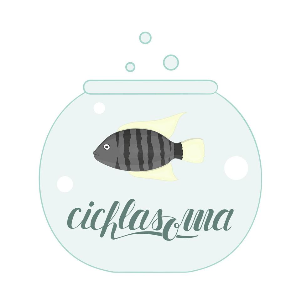 vector gekleurde illustratie van vis in aquarium met vis naam belettering. schattige foto van cichlasoma voor dierenwinkels of kinderillustratie