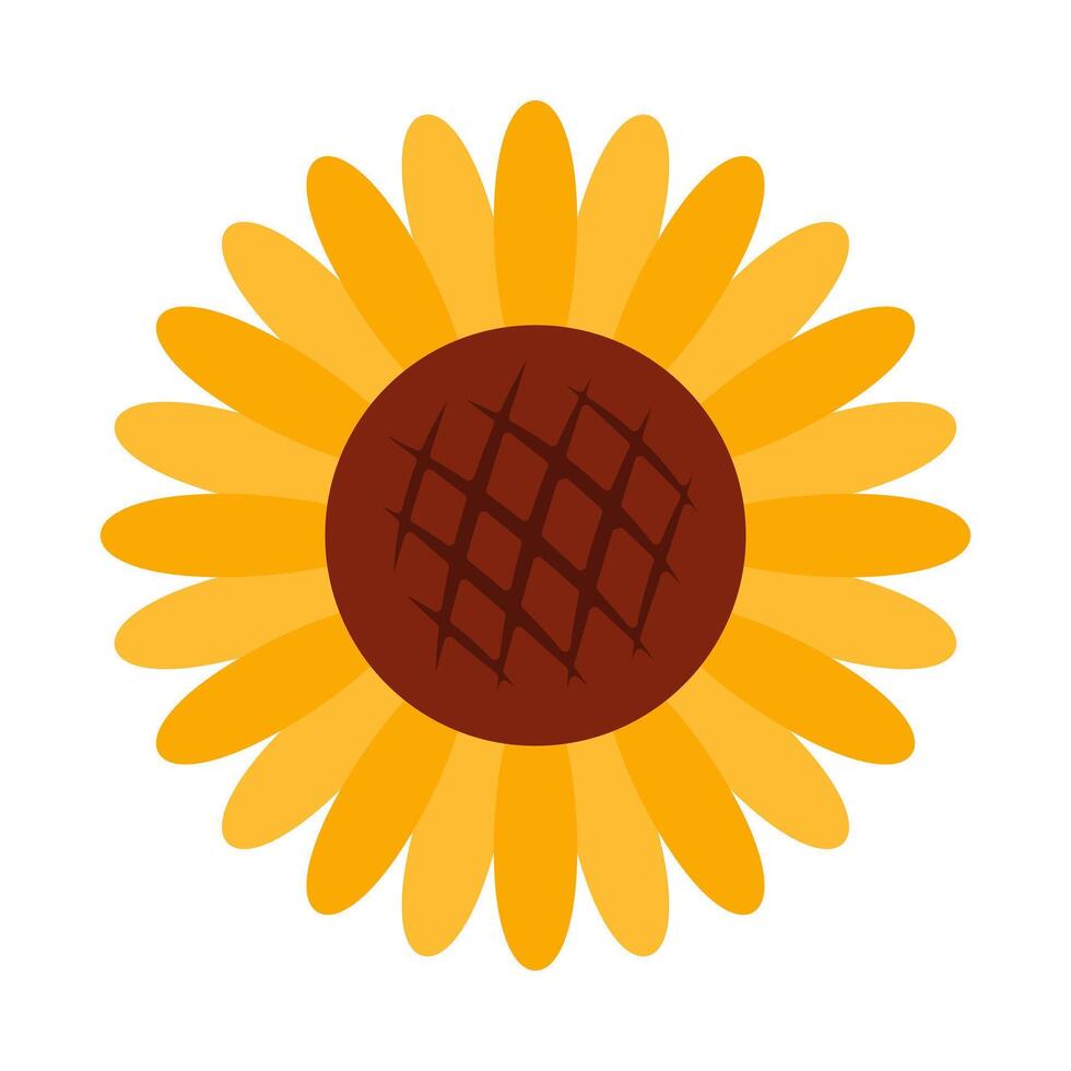 geel zonnebloem in vol bloeien. botanisch clip art in vlak stijl. illustratie in huisje kern geïsoleerd Aan wit achtergrond. perfect voor kaarten, logo, decoraties, voorjaar en zomer ontwerpen. vector