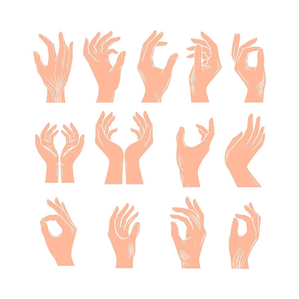 reeks van hand- gebaren. handen poses silhouetten, reeks van hand- poses vector
