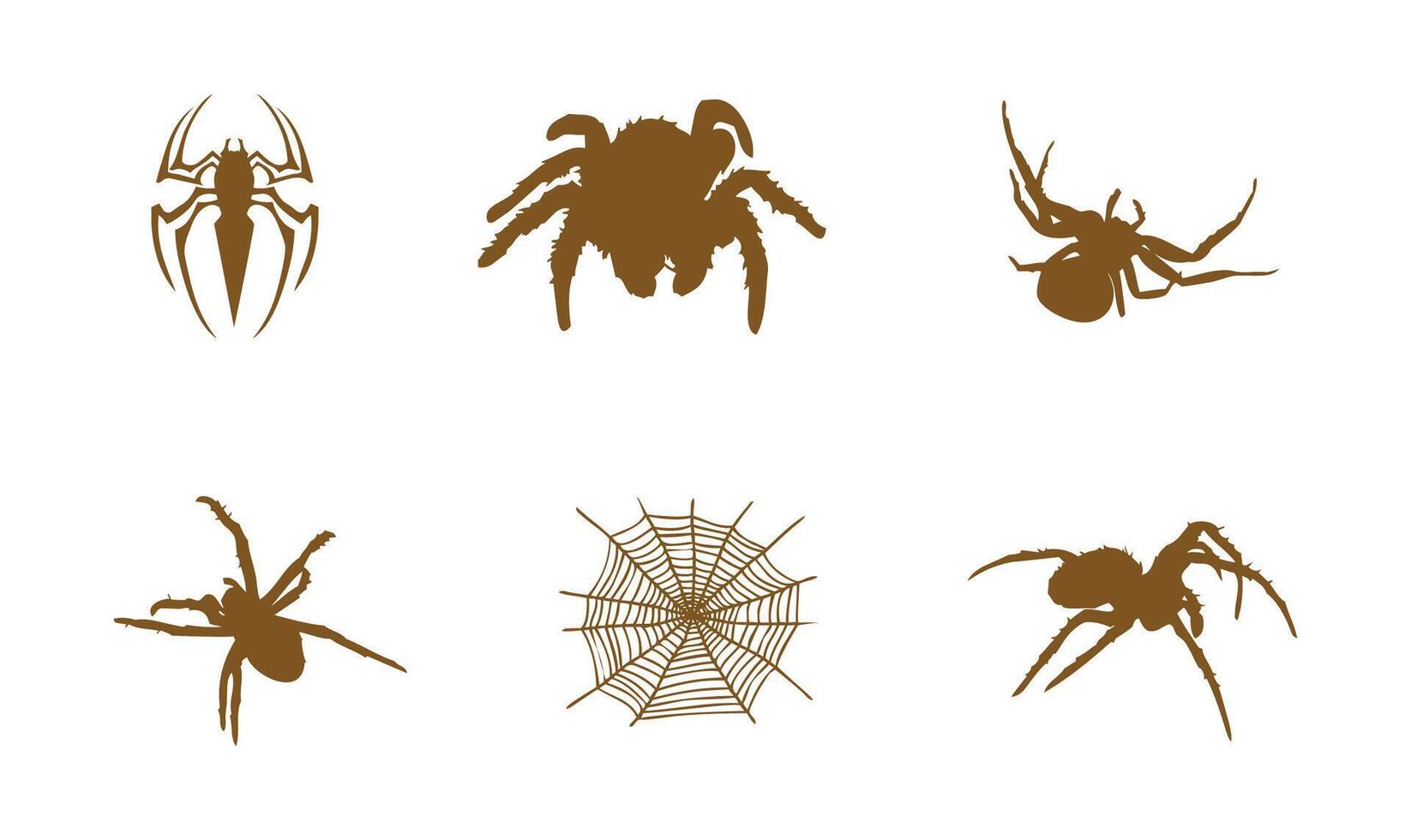 aranea spinnen s icoon reeks vector