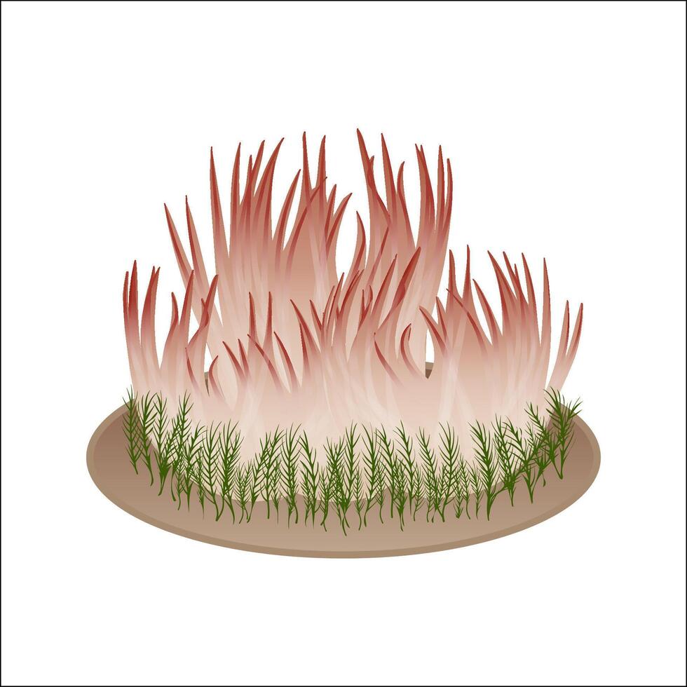 buisvormig paddestoel paddestoel geïsoleerd illustratie. thema van planten, botanici in tekenfilm. ontwerp element voor thema Woud paddestoelen, menu, ingrediënten, recepten, biologisch producten, enz. vector