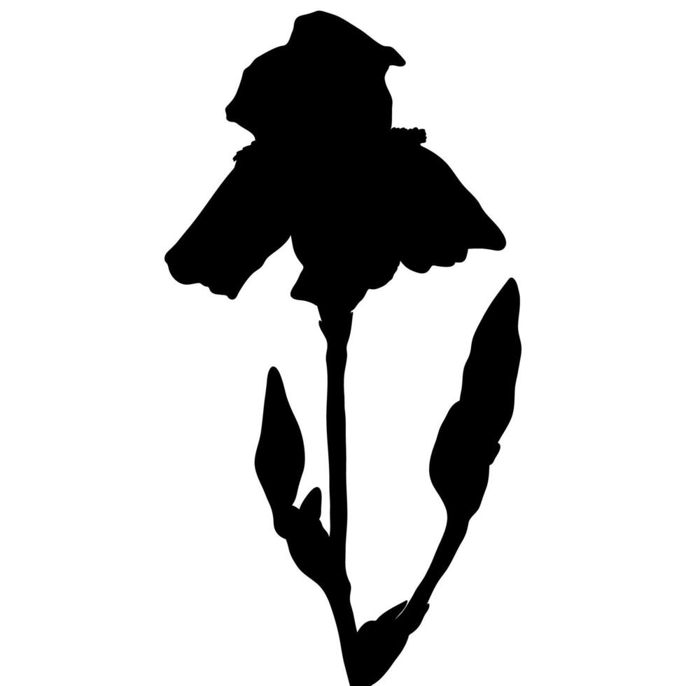 iris bloem silhouet vector