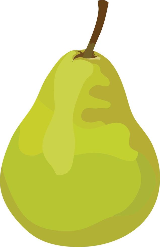 peer fruit vectorillustratie vector