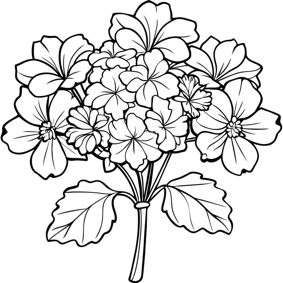 geranium bloem boeket schets illustratie kleur boek bladzijde ontwerp, geranium bloem boeket zwart en wit lijn kunst tekening kleur boek Pagina's voor kinderen en volwassenen vector