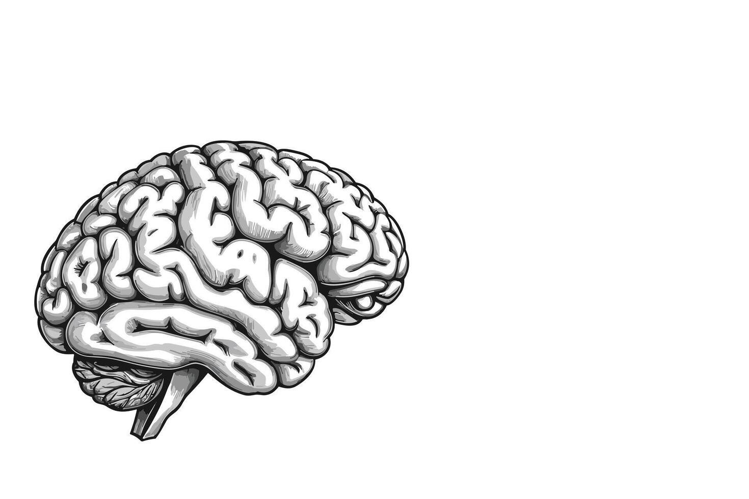 potlood tekening van menselijk hersenen vector