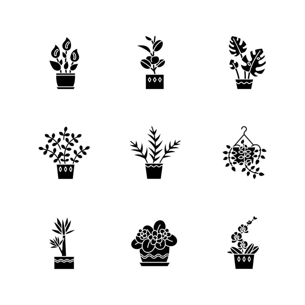 gedomesticeerde planten zwarte glyph pictogrammen instellen op witruimte. kamerplanten. decoratieve planten. afrikaans viooltje, ficus, monstera. vrede lelie, pothos, yucca. silhouet symbolen. vector geïsoleerde illustratie