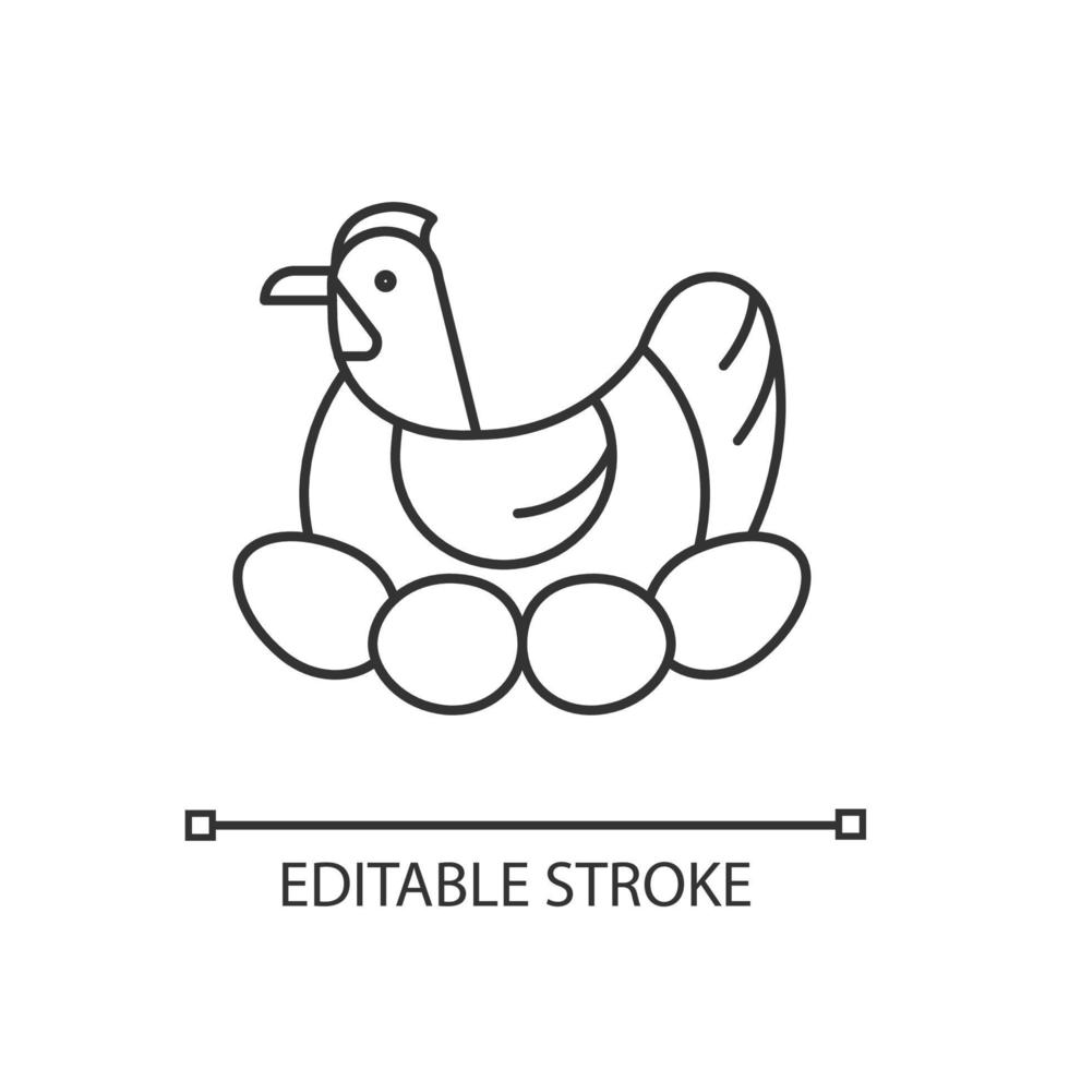 broedkip lineaire pictogram. vogel zittend op eierkoppeling om kuikens te incuberen. broedende kip. dunne lijn aanpasbare illustratie. contour symbool. vector geïsoleerde overzichtstekening. bewerkbare streek