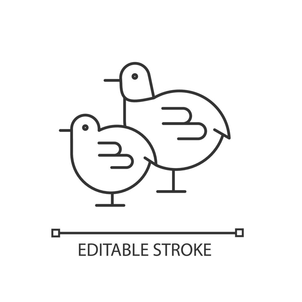 kuikens lineaire pictogram. kleine pluizige pasgeboren vogels. gele babykip. veeteelt. dunne lijn aanpasbare illustratie. contour symbool. vector geïsoleerde overzichtstekening. bewerkbare streek