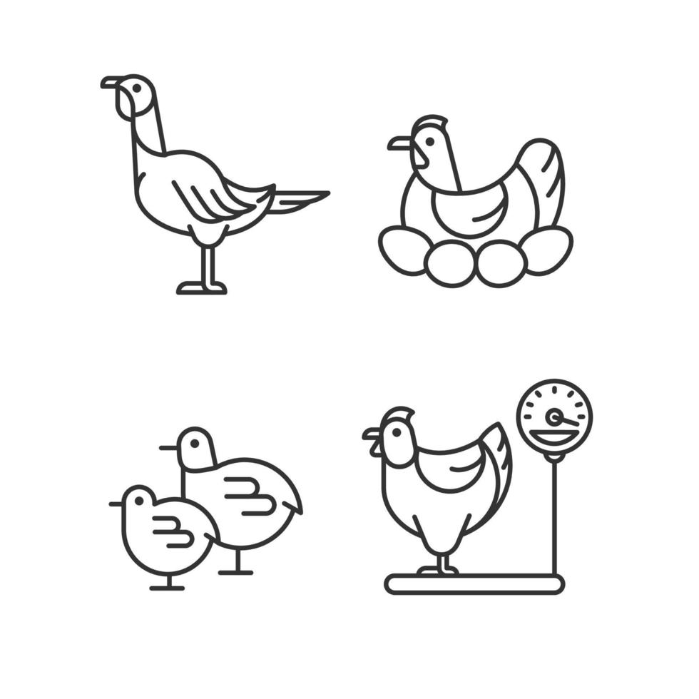 binnenlandse kippen lineaire pictogrammen instellen. vrouwelijke vogels. kalkoen en kip. pluimveehouderij voor eieren en vlees. aanpasbare dunne lijncontoursymbolen. geïsoleerde vectoroverzichtsillustraties. bewerkbare streek vector