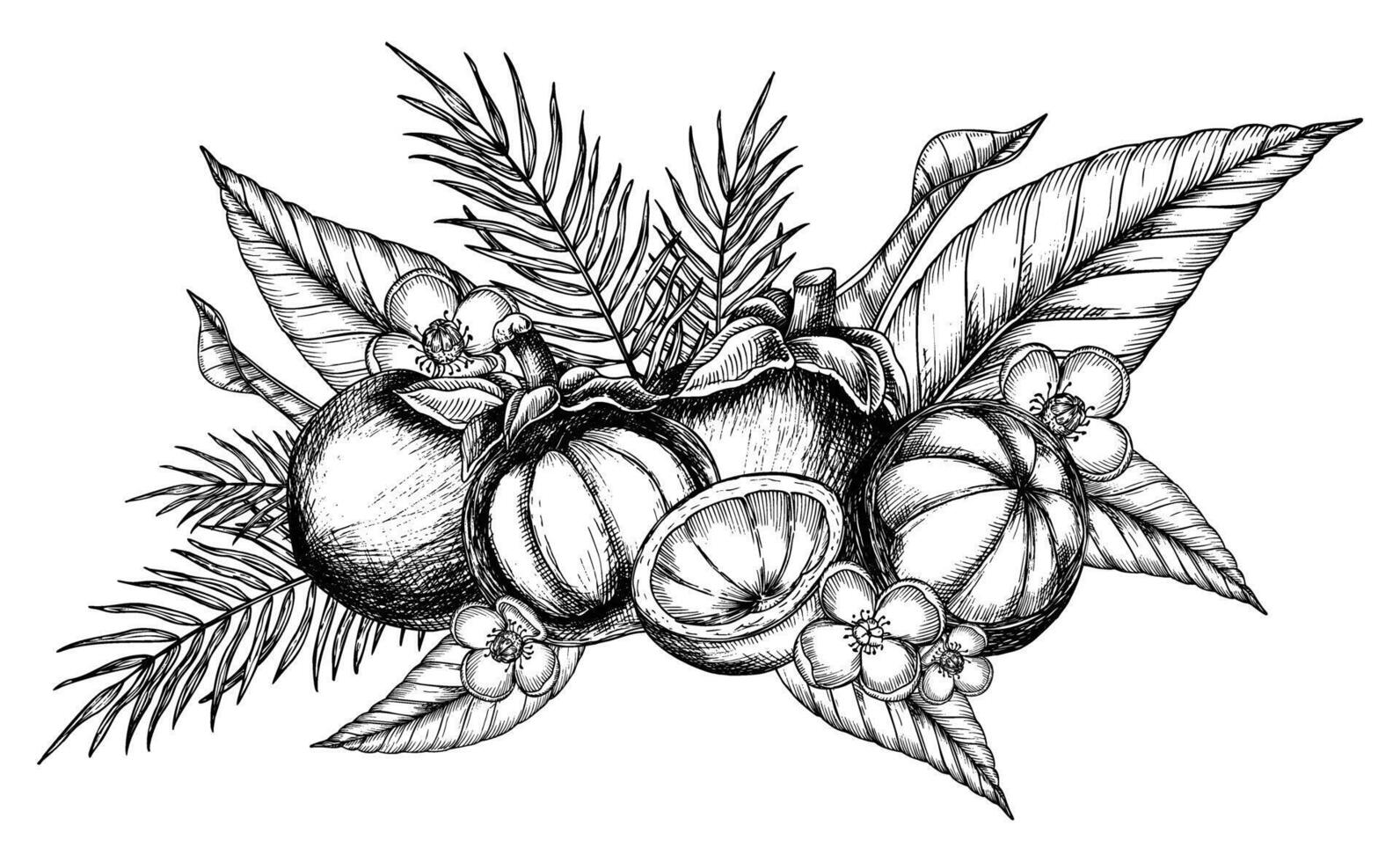 mangisboom met palm bladeren en bloemen. hand- getrokken illustratie van exotisch tropisch fruit geschilderd door zwart inkten. tekening van Aziatisch voedsel met garcinia en sappig plakjes. schetsen van mangostana vector