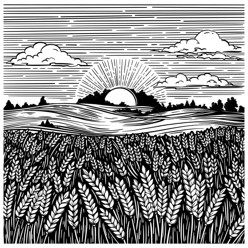 landelijk landschap met tarwe veld, zon, weide en heuvel. zwart en wit inkt illustratie in schetsen lijn stijl vector