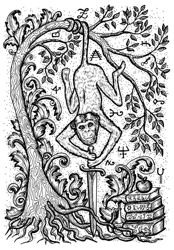 aap symbool met zwaard, boeken, barok versierd boom en mysticus tekens vector