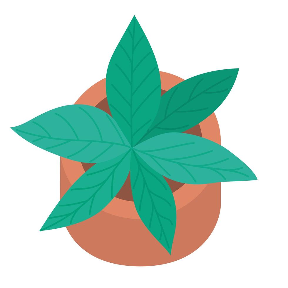 mooie plant illustratie vector