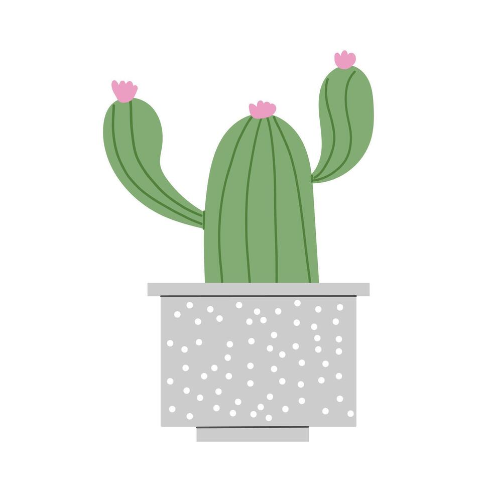 cactus. bloeiend cactus in een schattig pot. illustratie met wit geïsoleerd achtergrond. vector