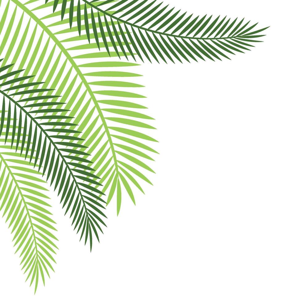 palm blad hoek vector