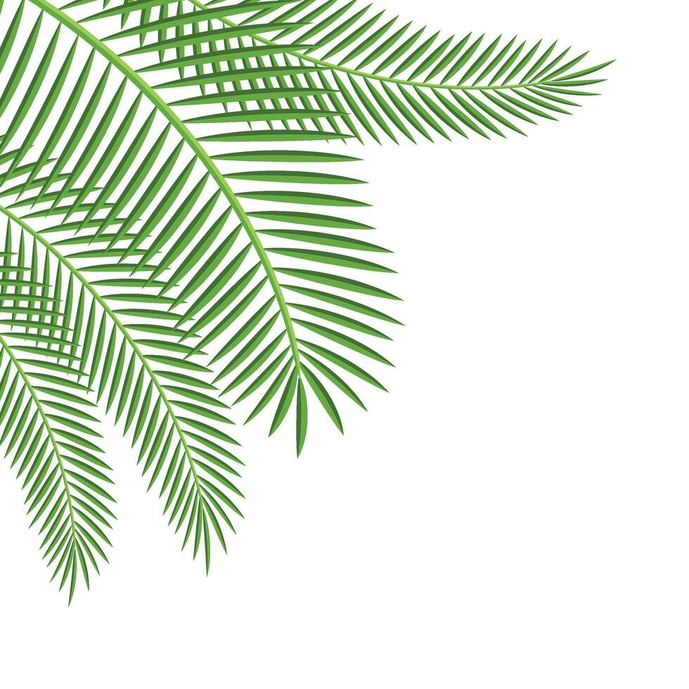 palm blad hoek vector