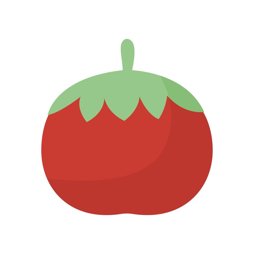 tomaat met een rode kleur op een witte achtergrond vector