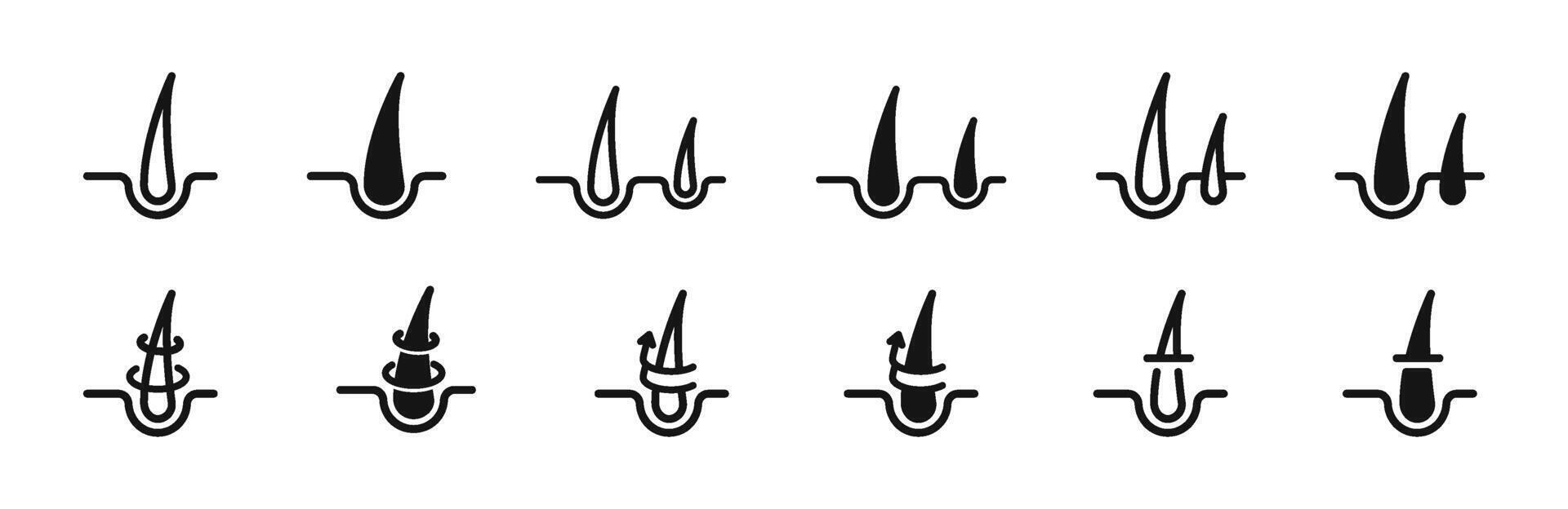 haar- pictogrammen. haar- icoon set. haar- groei. vector