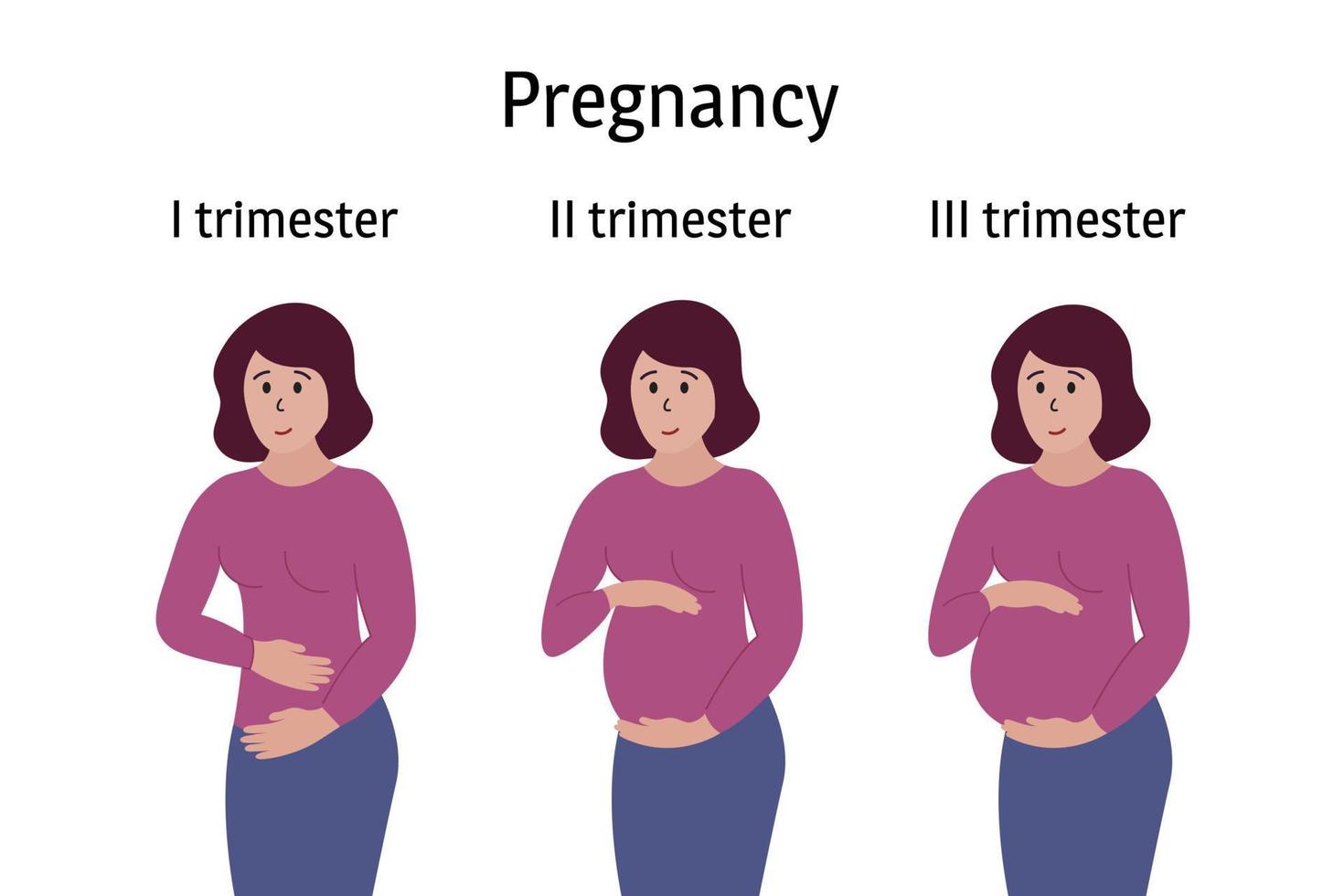 fasen van de zwangerschap. zwangere vrouw staat, lacht en raakt de buik aan in verschillende trimesterperiodes. lichaam verandert, buik groeit. vectorinfographics vector