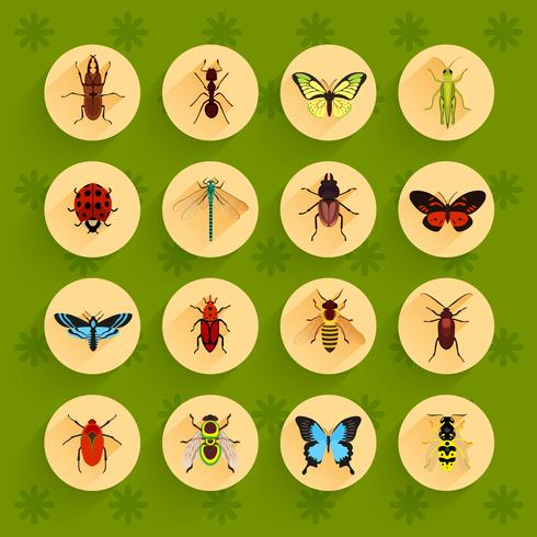Insecten plat pictogrammen instellen vector