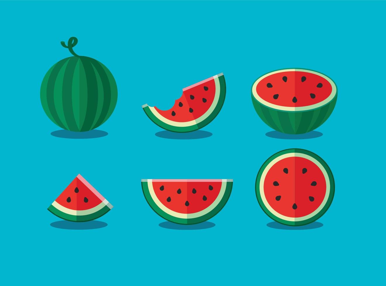 set van hele en plakjes watermeloen. vector illustratie