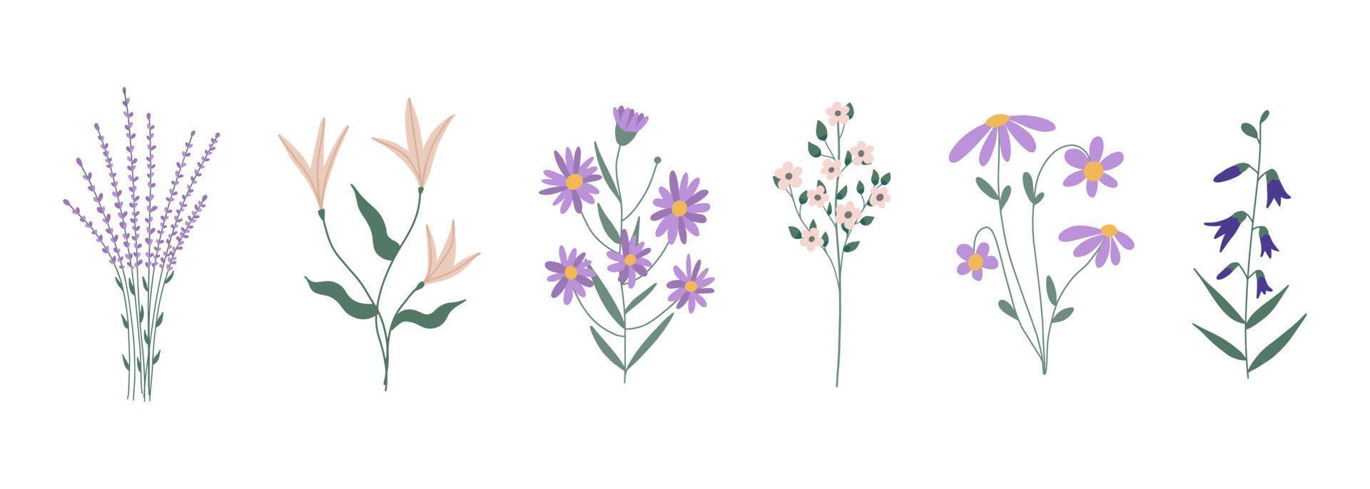 botanische set van tuin bloemen planten. kleurrijke platte vectorillustratie. vector