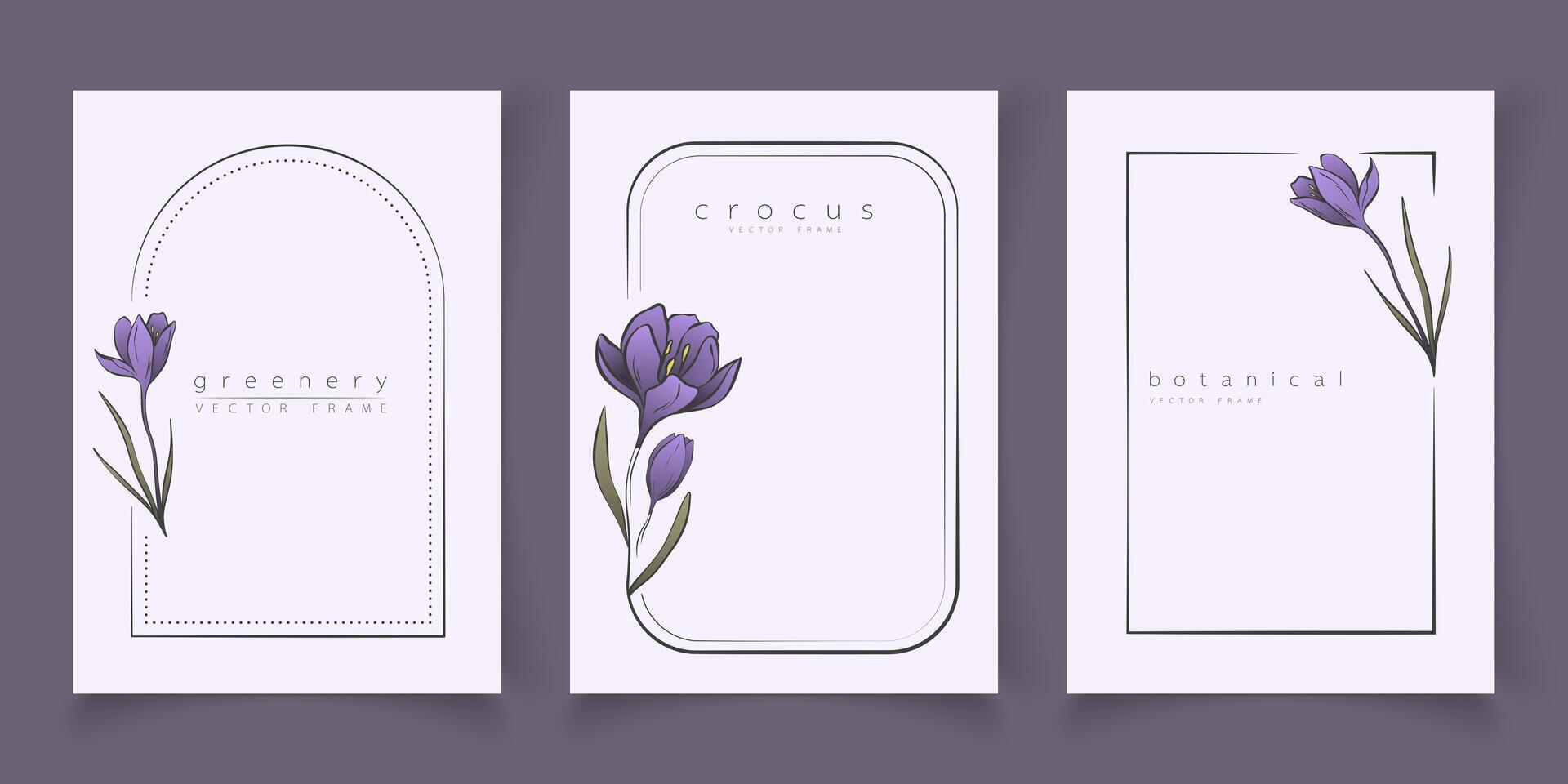 botanisch lijn kunst illustratie reeks van krokus bloem kaders Sjablonen voor bruiloft uitnodiging en kaarten, logo ontwerp, web, sociaal media en posters sjabloon. elegant minimaal stijl bloemen isoleren vector