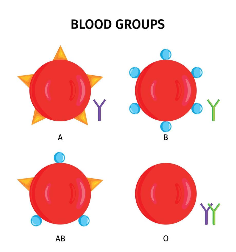 symbolen voor bloedgroepgroepen vector