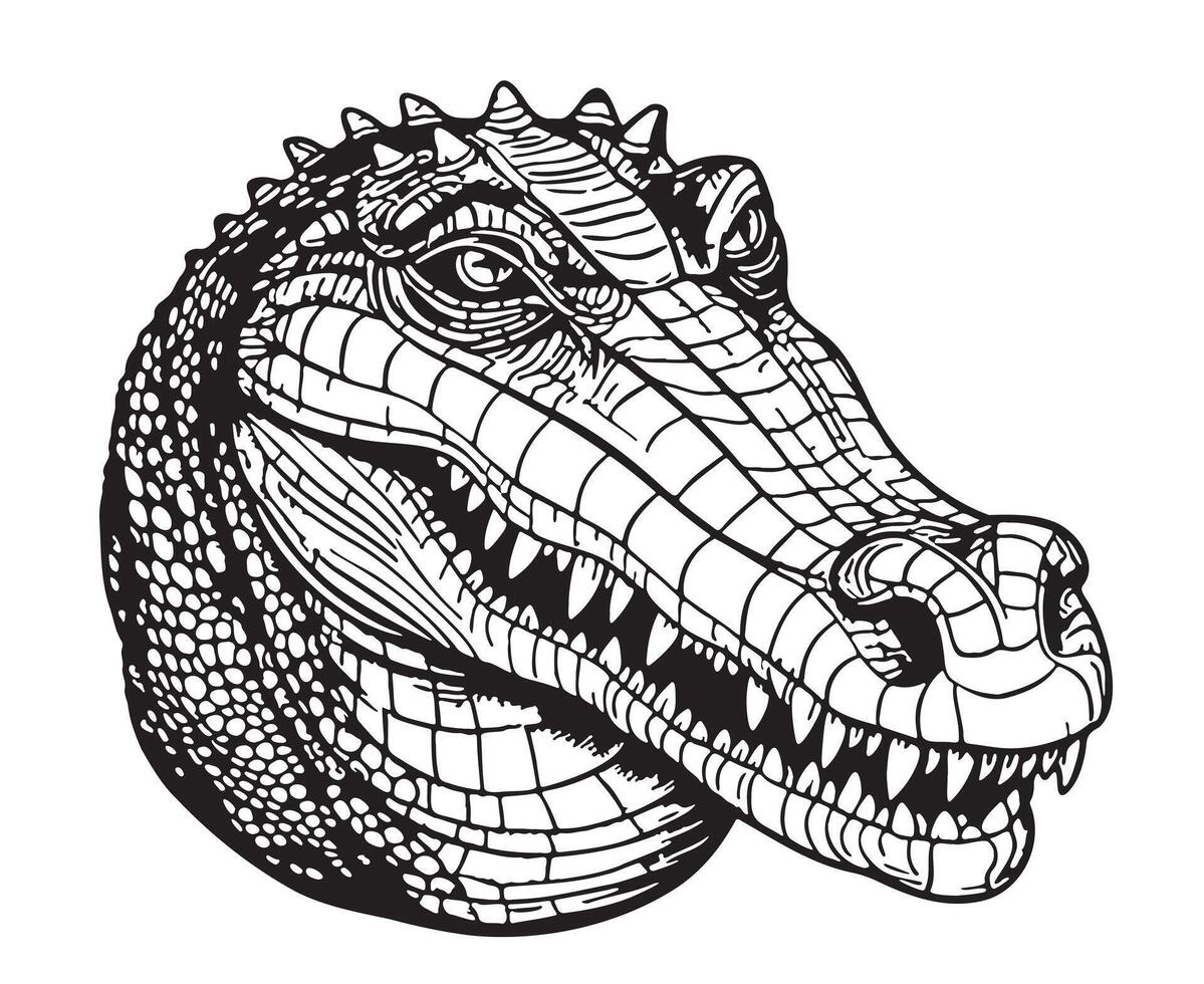 krokodil hoofd schetsen hand- getrokken in tekening stijl illustratie tekenfilm vector