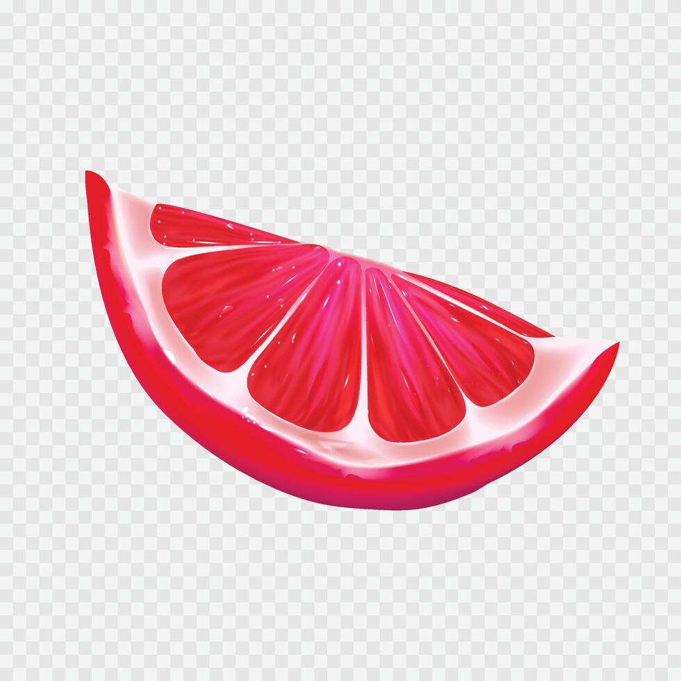 realistisch rood plak van citrus Aan wit achtergrond vector