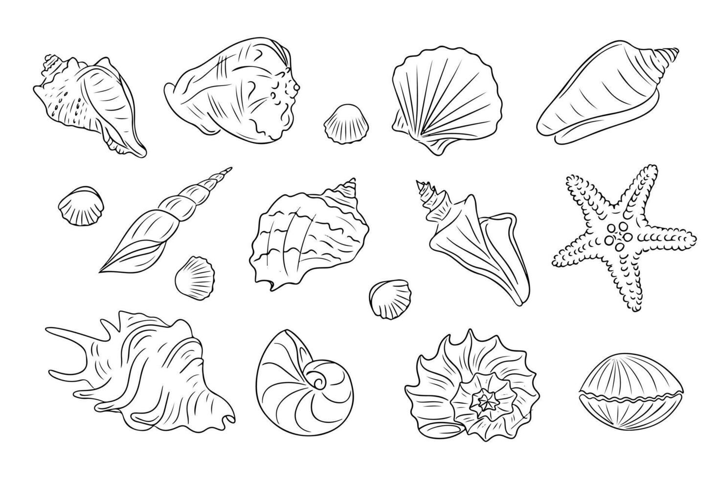 zomer strand tekening reeks van schelpen. verzameling van hand- getrokken contour tekening van oester weekdier en slak schelpen in gemakkelijk lineair stijl. modern minimalistische schets icoon reeks vector