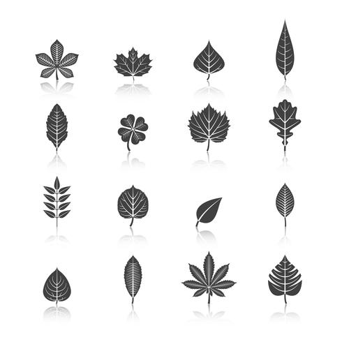 Plant verlaat zwarte pictogrammen instellen vector