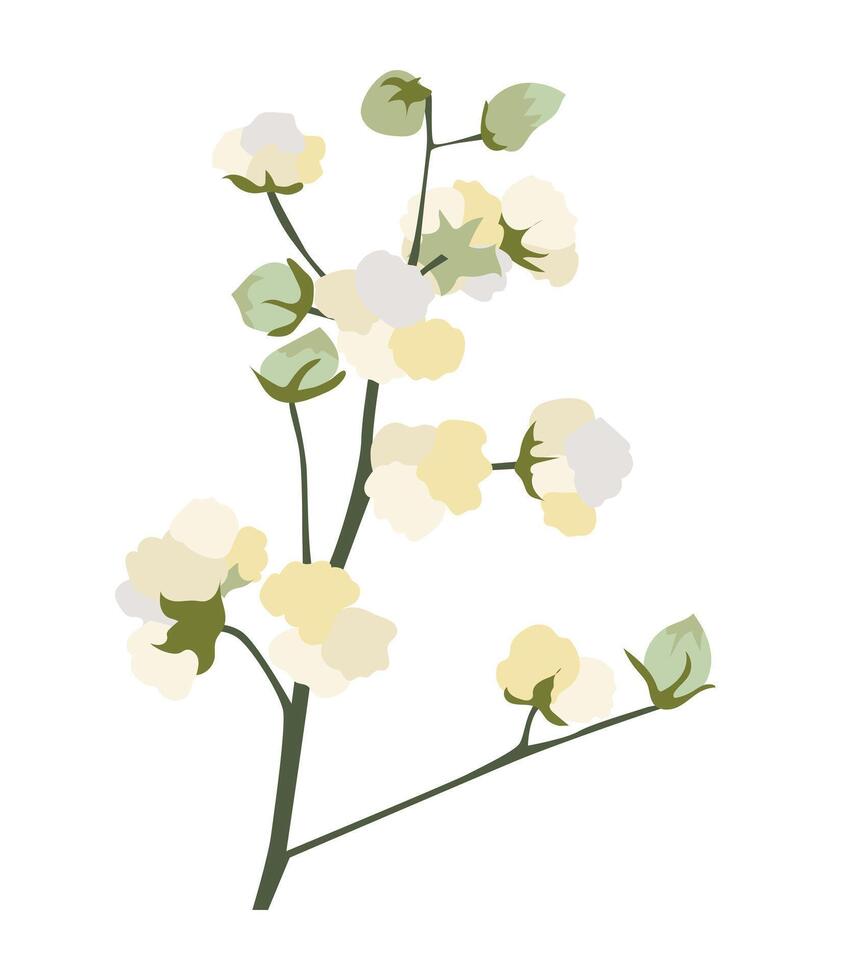 abstract katoen bloemen Aan Afdeling in vlak ontwerp. zacht pluizig bloesem takje. illustratie geïsoleerd. vector