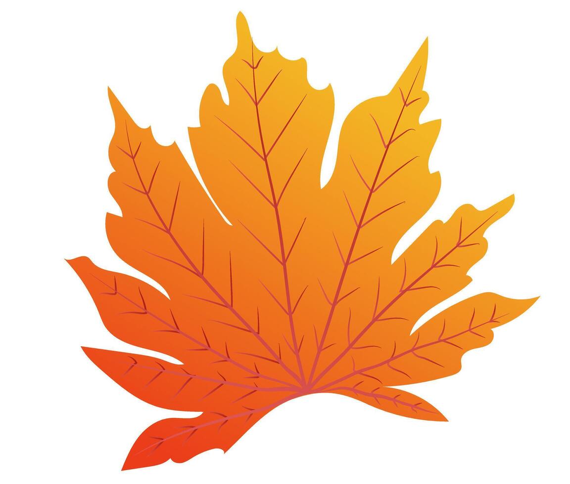 herfst oranje blad met aderen in vlak ontwerp. decoratief helder gebladerte. illustratie geïsoleerd. vector