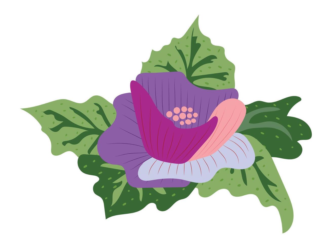 Purper bloem met bladeren in vlak ontwerp. anemoon bloesem met gebladerte. illustratie geïsoleerd. vector