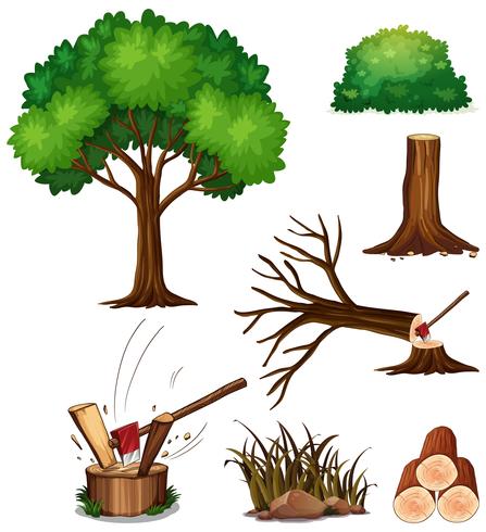 Een set van snijboom vector