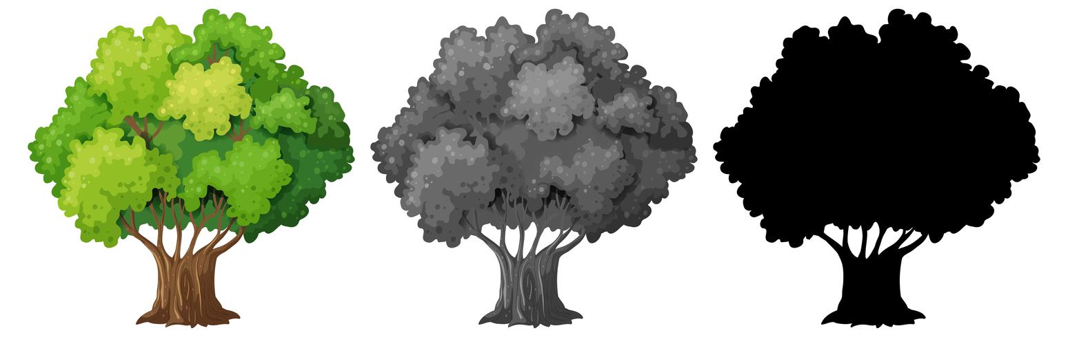 Verzameling van geïsoleerde boom vector
