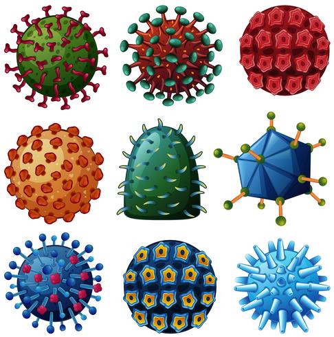 Verschillende soorten virussen vector