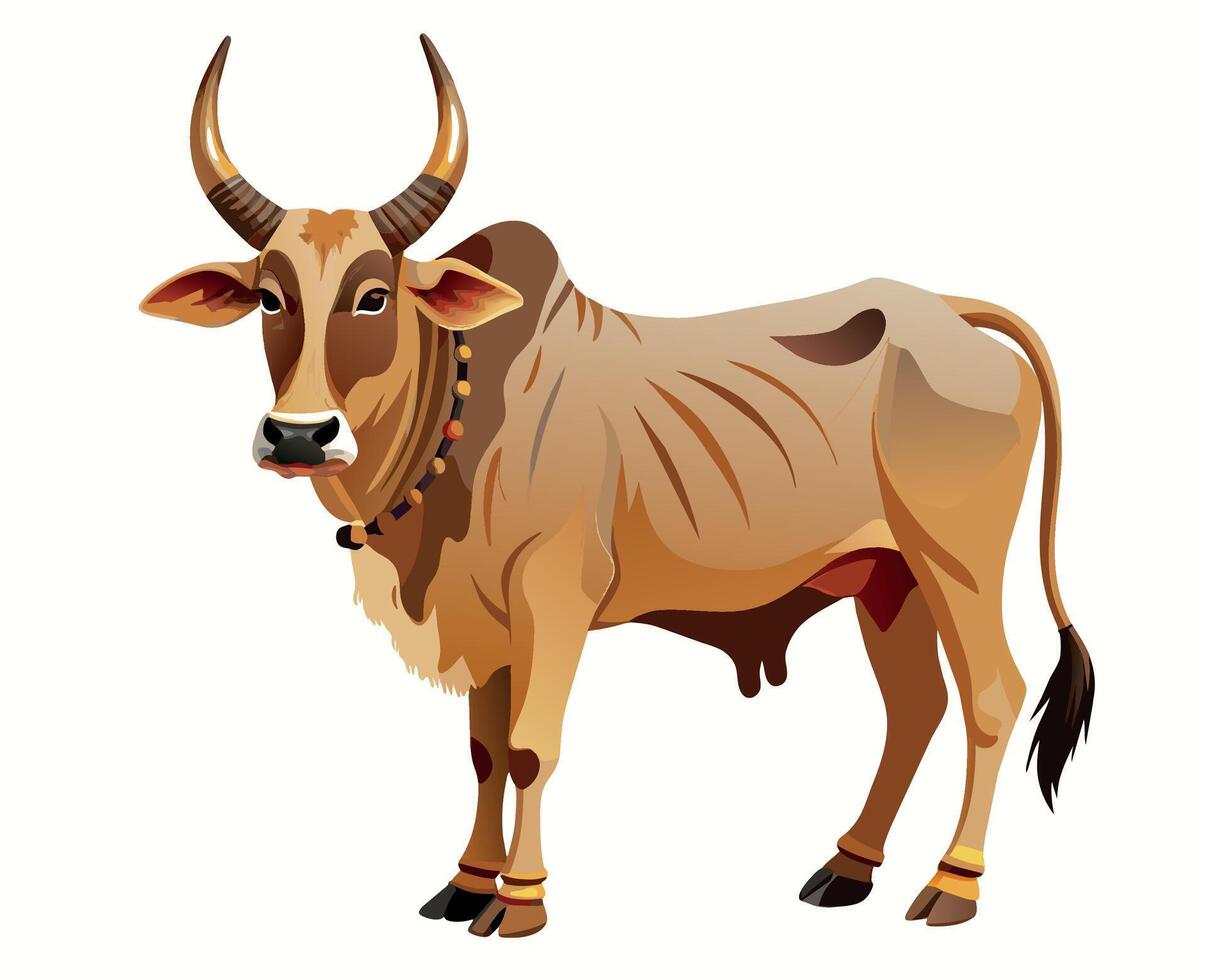 Indisch stier van de khilari ras vector