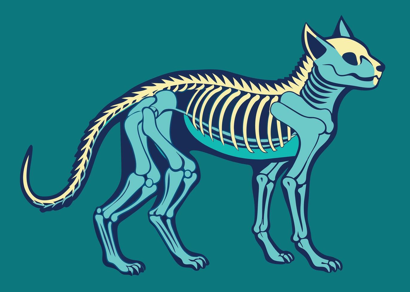 gedetailleerd artwork van een grote hoorn kat skelet Aan een donker achtergrond vector