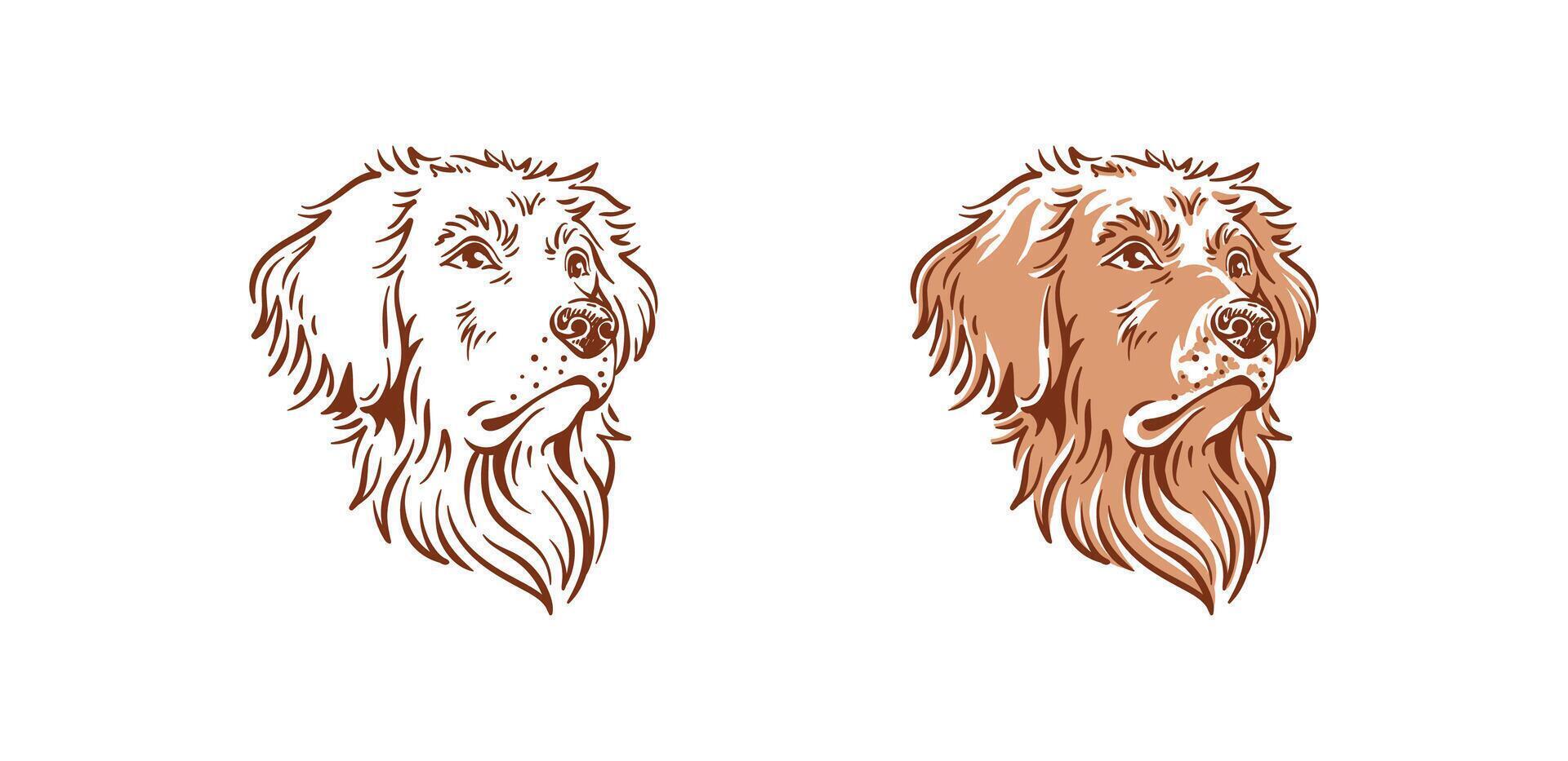 hond hoofd met een mooi schattig gezicht illustratie van een gouden retriever huisdier dier tekening vector