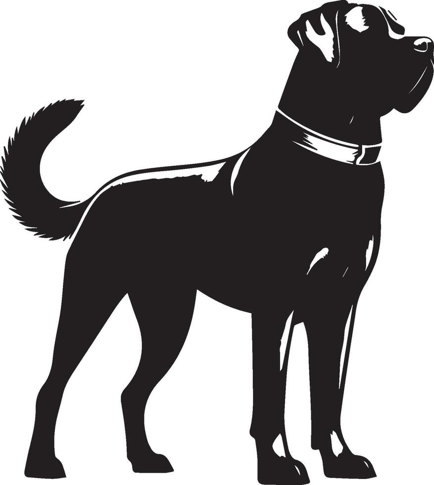 hond silhouet set. hond illustratie vector