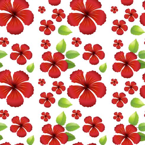 Naadloos ontwerp als achtergrond met rode hibicus bloemen vector