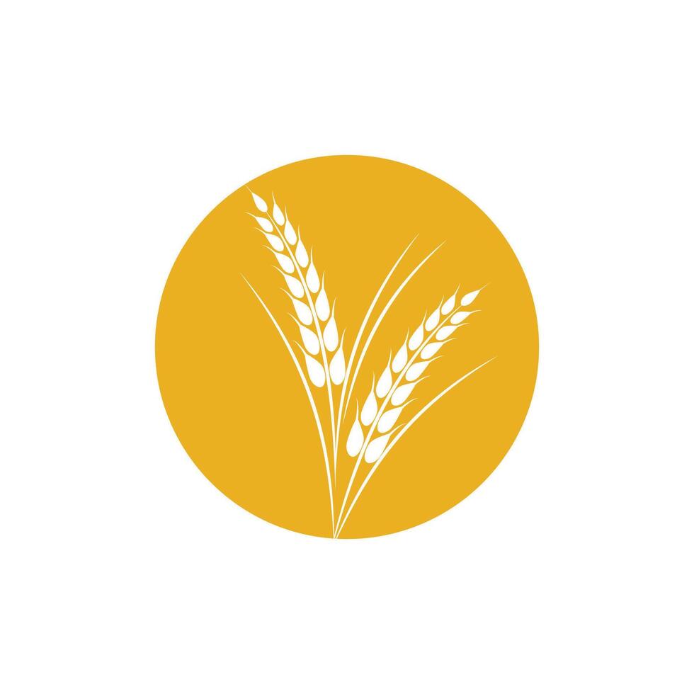 landbouw tarwe logo sjabloon en symbool vector